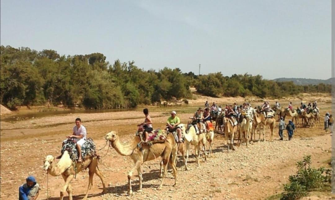 Riad Dar Salam Agadir Kültér fotó