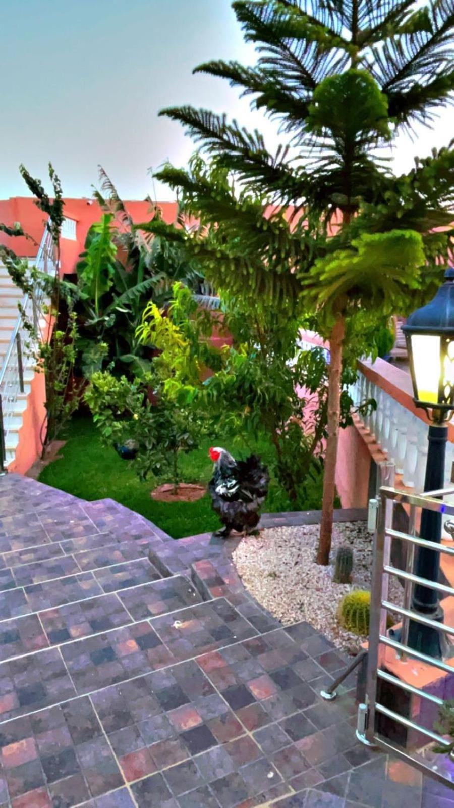 Riad Dar Salam Agadir Kültér fotó